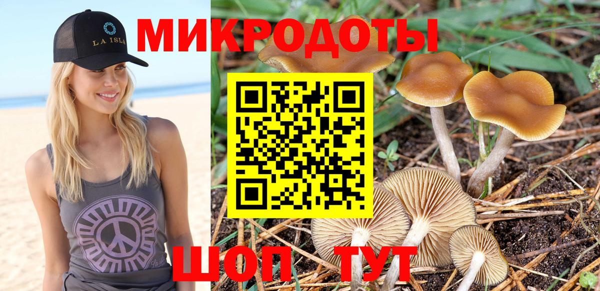 хочу наркоту  Галлюциногенные грибы MAGIC MUSHROOMS  Вход с VPN  Артёмовский 