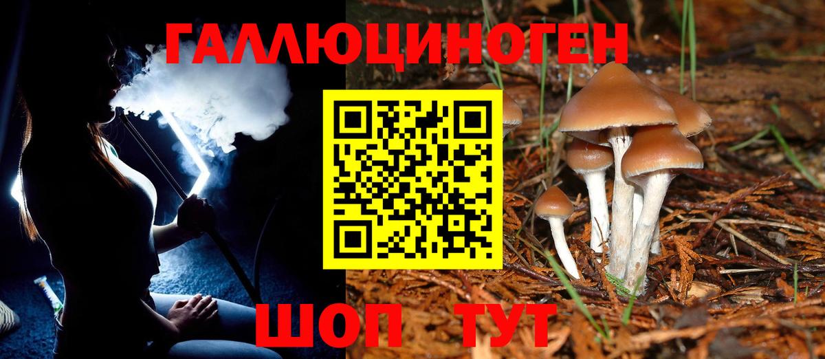 Галлюциногенные грибы Magic Shrooms Артёмовский